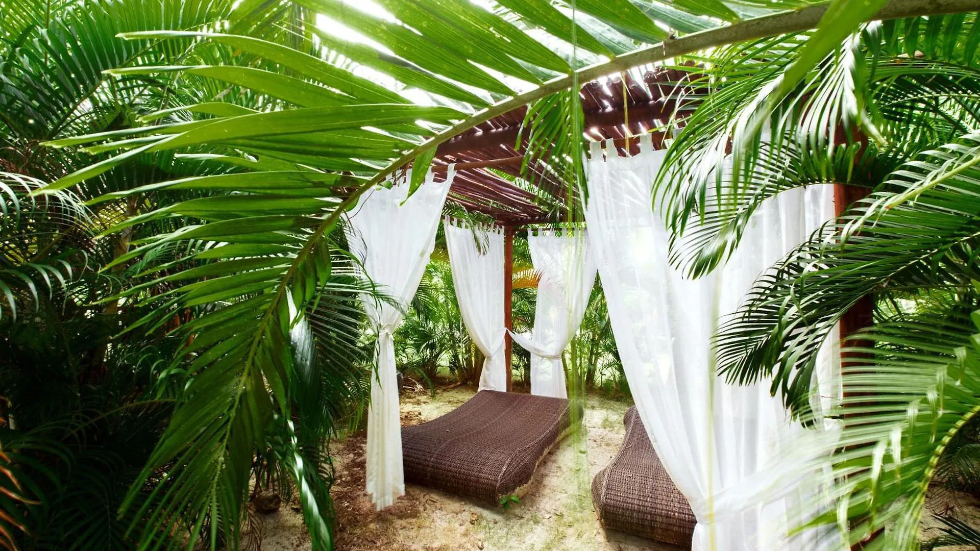 Ducassi Suites Rooftop Pool - Beach Club And Spa プンタ・カナ